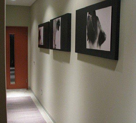 Front door entry hallway. Photos of my dog are no longer there