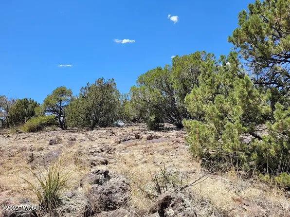 210 Antelope Ave #1, Concho, AZ 85924
