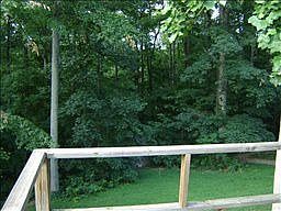 2nd image of 1705 Winding Way