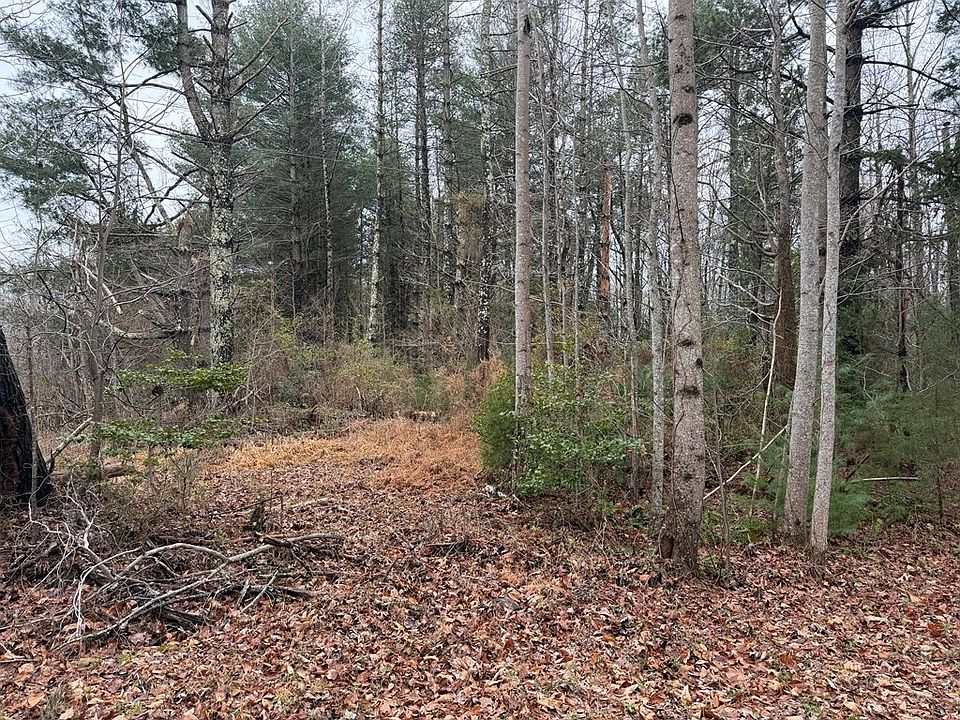 2nd image of 2231 Iberis Rd
