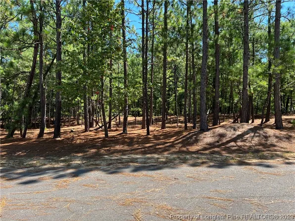 103 Bexley Ct, West End, NC 27376