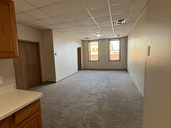 509 1/2 Sinclair Lewis Ave APT 8