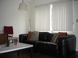 Large Living Room Window