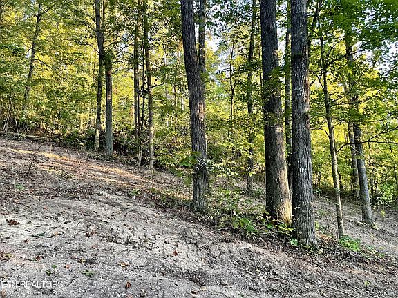 4th image of 0 Johnson Valley Rd Lot 3&4