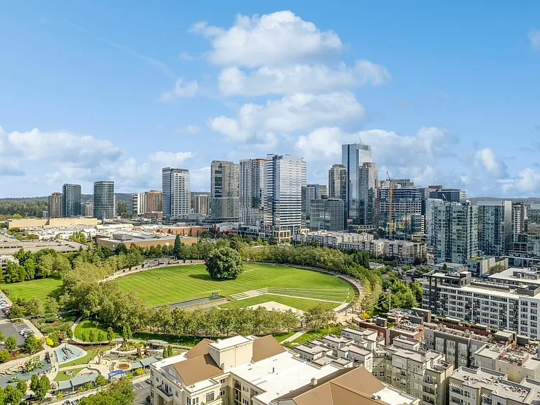 BellevuePark_drone view_09 2560