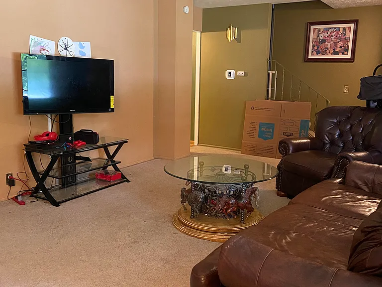 Terrace Dr — Photo 11