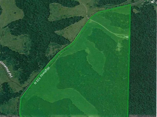 4815 Highway 125 N, Yellville, AR 72687