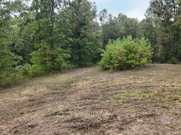 2324 County Road 758, Riceville, TN 37370