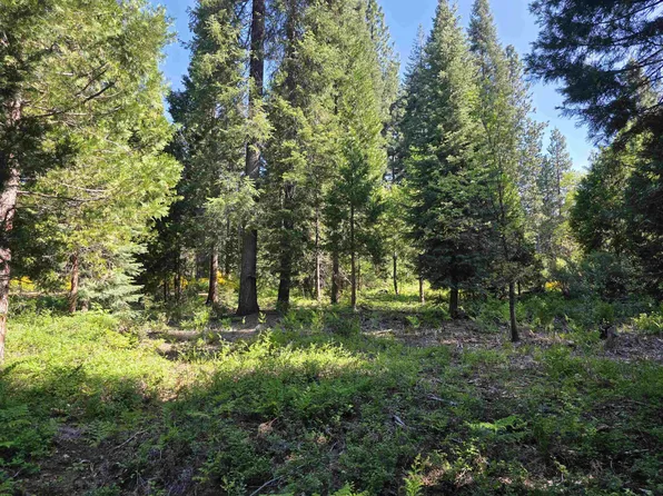 LOT 70 Old Mill Dr, McCloud, CA 96057
