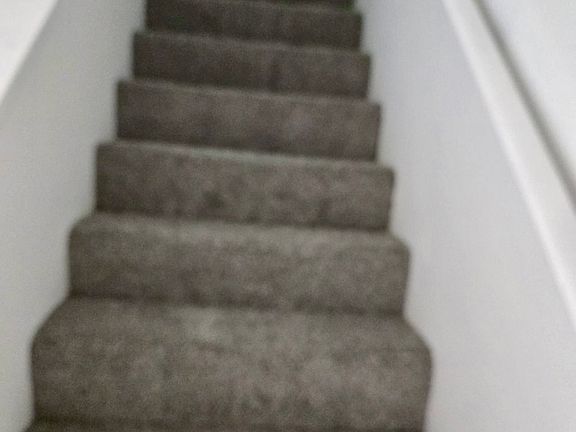 3rd image of 1842 Foxhall Cir