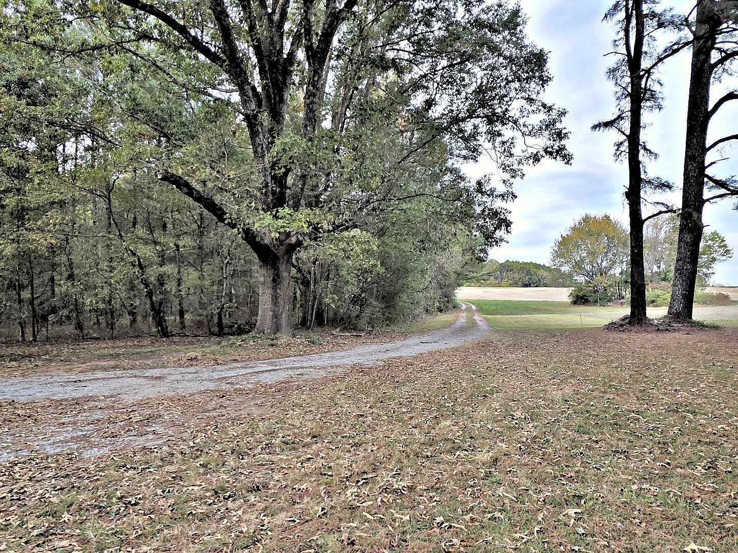 House/Cabin - 3br/2ba - Athens/Limestone County — Photo 4