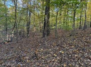 11323 Mingo Dr, Hernando, MS 38632