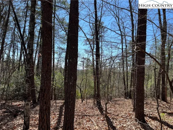 2500 Playmore Beach Road, Lenoir, NC 28645