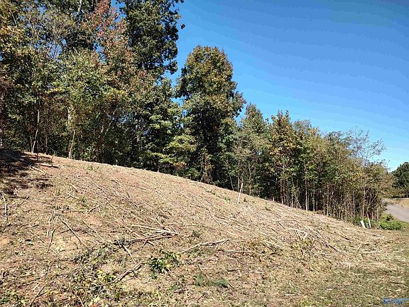 5th image of 166 Lookout Mountain Dr