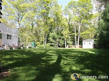 Large level backyard