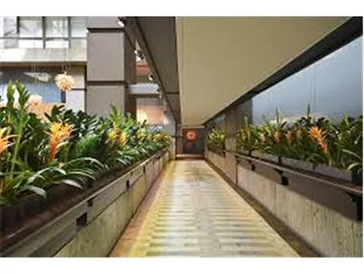 Sold by Douglas Elliman | media 25