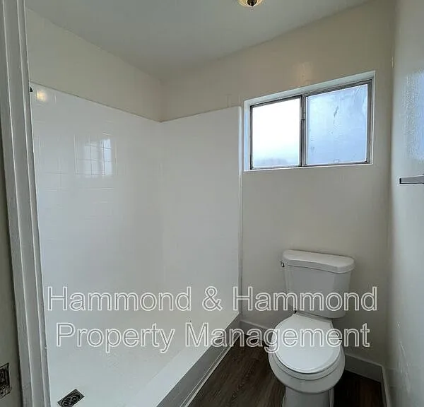 911 Ventura Ave #3 — Photo 8