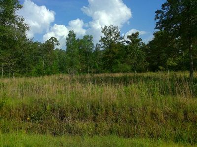 0 Oak Knoll Rd, Abita Springs, LA, 70420