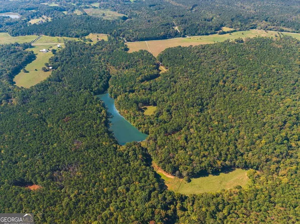 2514 Maynards Mill Rd, Forsyth, GA 31029