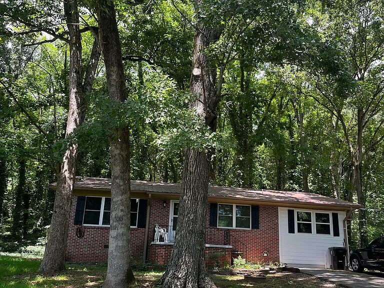 Mink Creek Rd — Photo 10