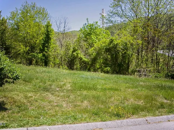 100 Richmond Heights Rd, Bristol, TN 37620