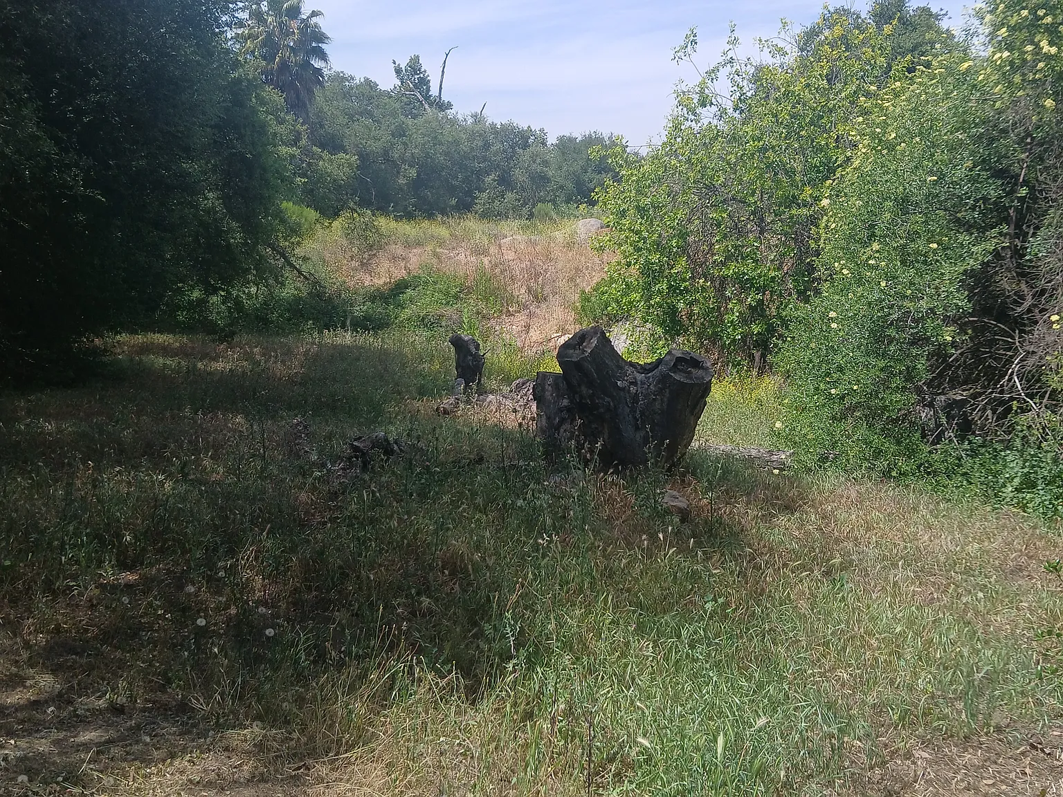 Hidden Glen Rd, Alpine — Photo 2