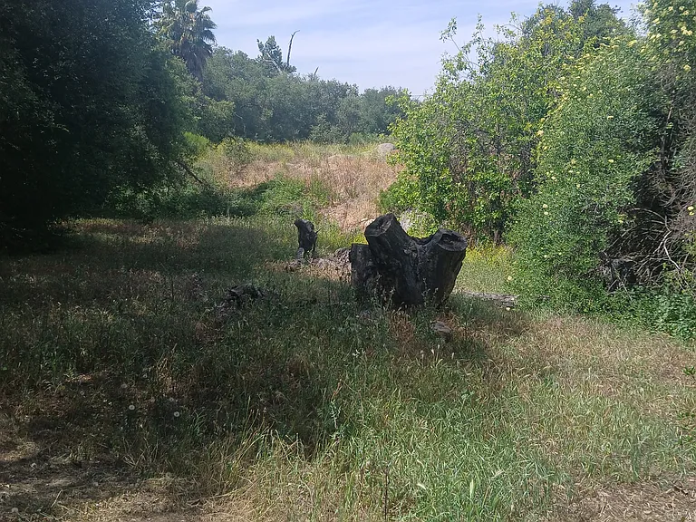 Hidden Glen Rd — Photo 2