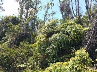 11 2693rd #22, Volcano, HI 96785