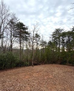 1325AC Pounding Mill Rd, Hayesville, NC, 28904