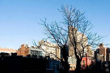 Rented by Concept Real Estate Group