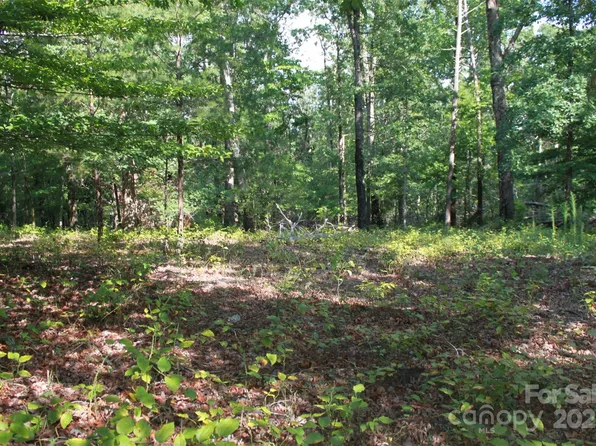 0 Lail Rd, Rutherfordton, NC 28139