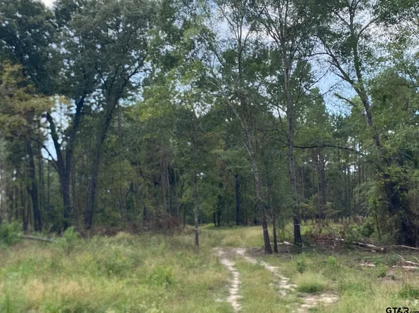 0 County Road 4218, Jacksonville, TX 75766