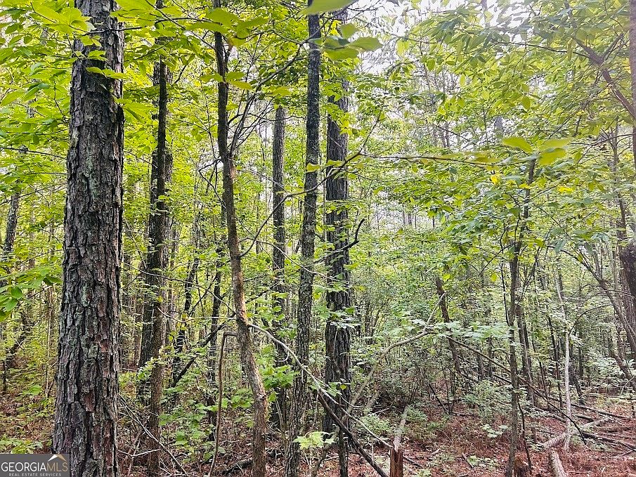 0 Springer Rd Whitesburg GA Zillow