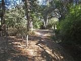 2nd image of 8533 Fair Oaks Blvd