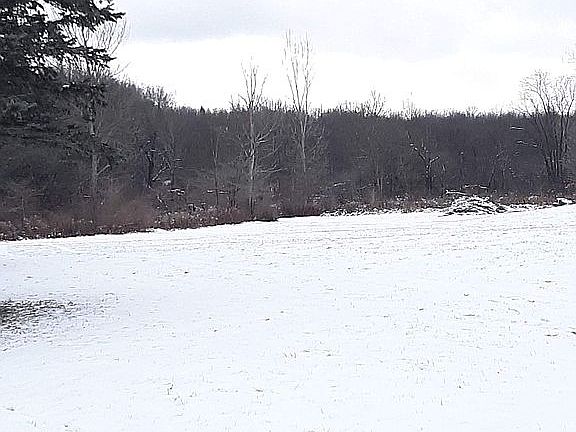 4th image of 9009 Seneca Brook Est