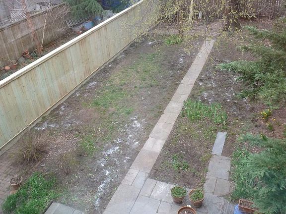 Rear Yard