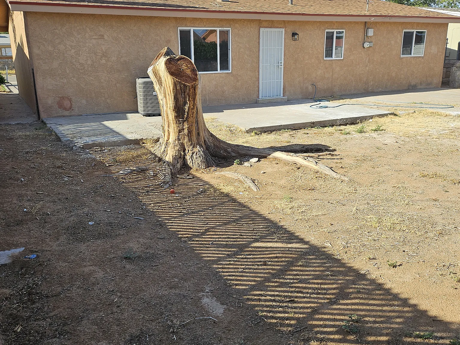 3 bed, 1098 sqft, $1,250 — Photo 3