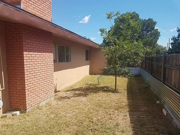 Dog Run/Side Yard