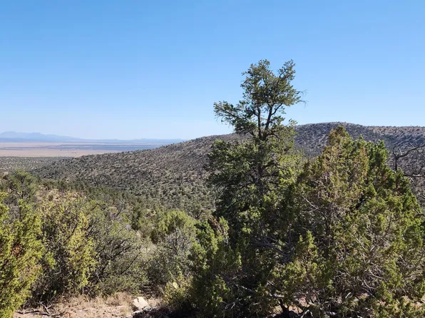 363 N Big View Trl, Ash Fork, AZ 86320