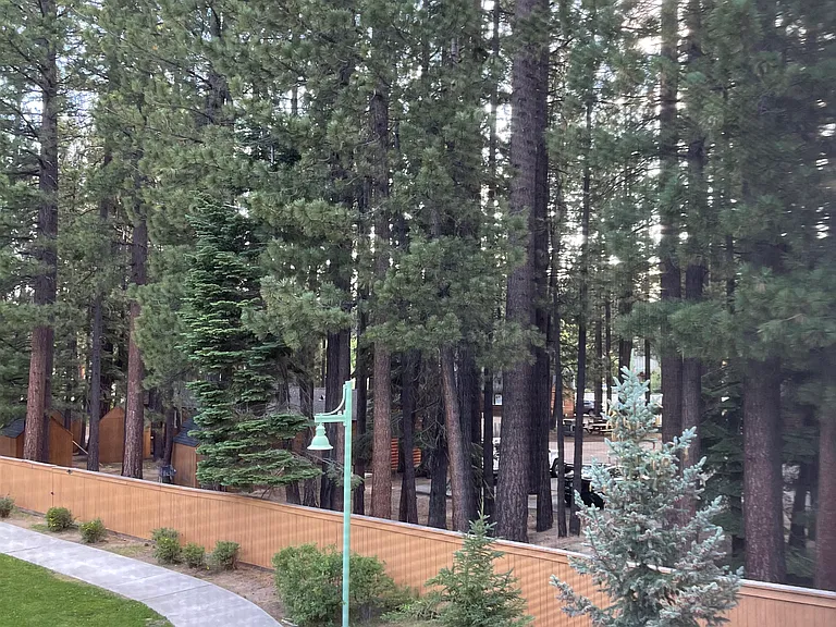 Bonanza Ave — Photo 29
