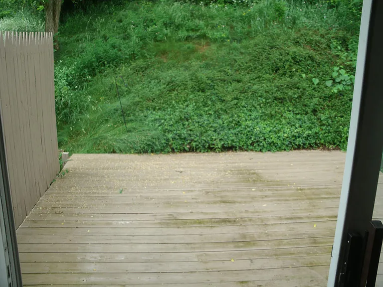 Deck with privacy fence. Repainted in Summer 2025.