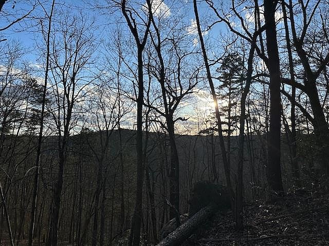 1st image of 303 Hilltop Ln