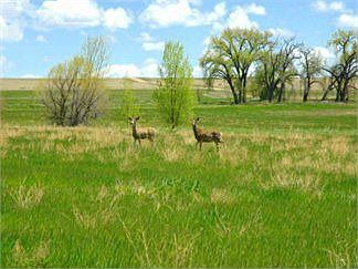 2nd image of 6900 E County Road 54