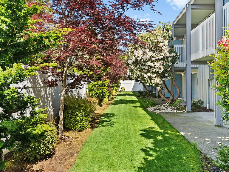 Apartment Backyard