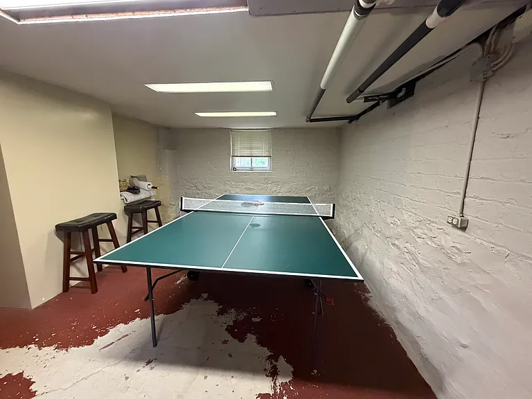 Basement ping pong table.