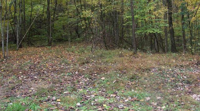 2nd image of 2 Timbertree Branch Rd