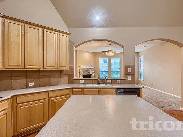 4203 Wildbriar Ln — Photo 5