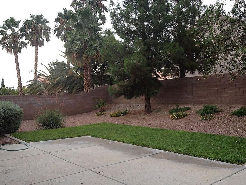 Beautiful back yard!