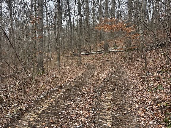 5th image of Bear Creek Rarden Rd