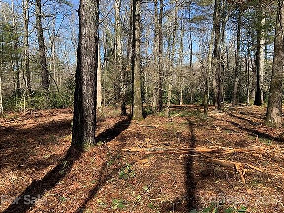 3rd image of 408 Falling Leaves Ln